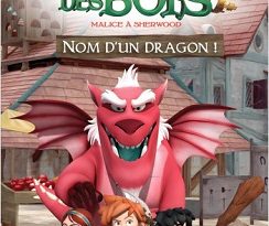 robin-des-bois-malice-sherwood-t2-nom-dragon-livres-dragon-or