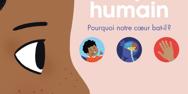 Corps Humain – Mon documentaire animé, Éditions Gallimard Jeunesse