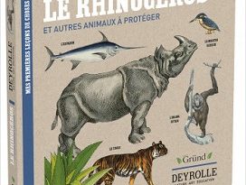 le-rhinocéros-autres-animaux-proteger-grund-deyrolle