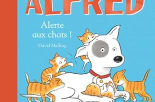 Alfred-Alerte-aux-chats-Flammarion