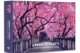 agenda-calendrier-2023-arbres-forets-Hugo-Cie