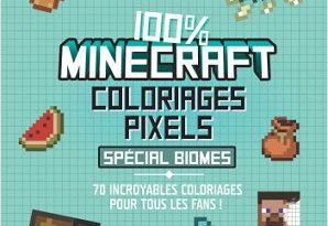 100-Minecraft-coloriages-pixels-Biomes-404-editions