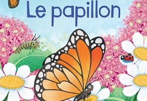 le-cycle-de-la-vie-Papillon-Usborne