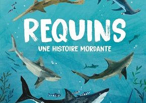 Requins-histoire-mordante-Delachaux-Niestlé