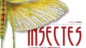 insectes-le-grand-livre-du-minuscule-Delachaux-Niestlé