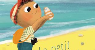 Le petit caillou de la plage