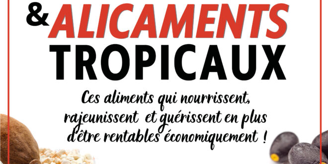 Superaliments & Alicaments Tropicaux : Un Guide Incontournable pour une Alimentation Saine et Durable