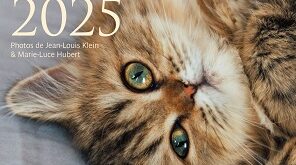 agenda-du-chat-2025-Rustica